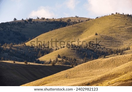 The Rolling Hills of John Day Fossil Beds National Monument, Oregon