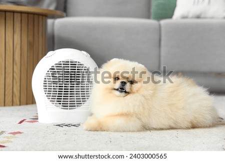 Cute Pomeranian spitz with electric fan heater at home