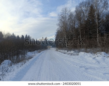 Road in forest in Siauliai county during sunny winter day. Some snow laying on ground. Oak and birch tree woodland. Sunny day. Nature. Miskas.