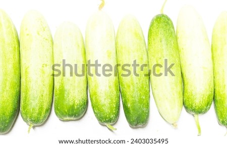 
Straight Eight Cucumbers: Popular for their dependability and prolific growth. Ideal for slicing, thriving in various summer climates. #CucumberVariety Royalty-Free Stock Photo #2403035495