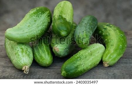 
Straight Eight Cucumbers: Popular for their dependability and prolific growth. Ideal for slicing, thriving in various summer climates. #CucumberVariety Royalty-Free Stock Photo #2403035497