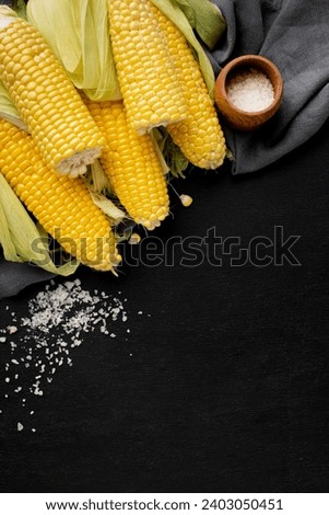 composition-delicious-corn-
Picture background
A picture of a shell which is very beautiful 
flat-lay-composition-delicious-corn-with-copy-space.jpg 