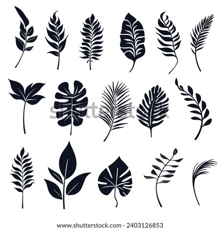 Abstract of tropical leaves. Design element black and white set. Flowers and leaves of the jungle or forest