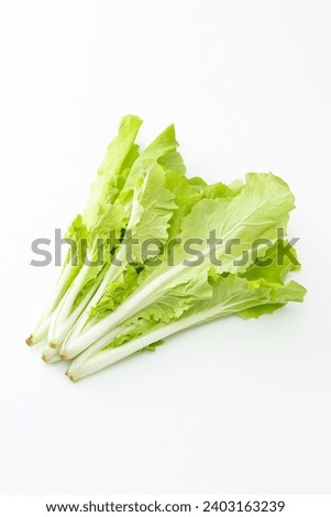 Shandong cabbage on a white background. Royalty-Free Stock Photo #2403163239