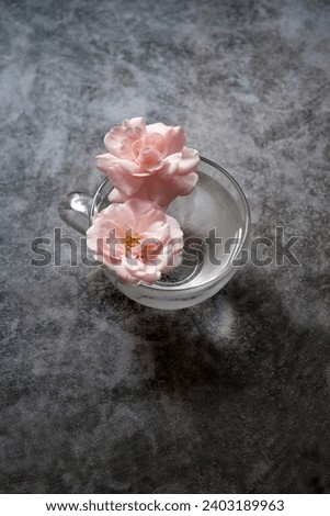 pink roses flowers in glass cup on dark abstract background. floral composition with roses. romantic inspiration floral image. creative minimal style concept. top view. copy space. template for design