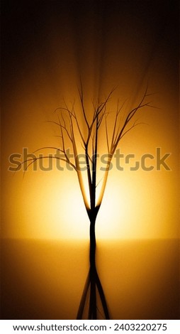 Tree light beautiful portrait picture