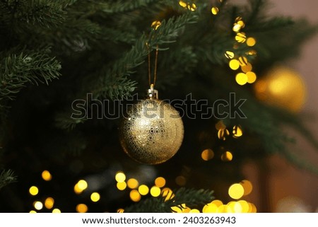 Beautiful Christmas ball hanging on fir tree branch indoors, closeup