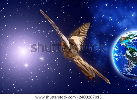 Cockatiel parrot flies across the cosmic sky with planets in the background
