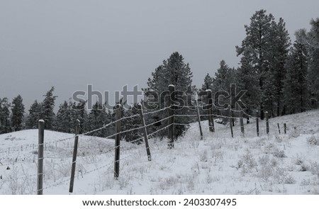 A frost and snow covered barbed wire fence along the edge of a farm in the mountains overtaken by winter.