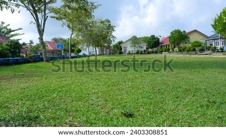 Natural Views Of Green Grass In The School Yard And Several Buildings