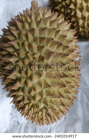 Collection of green durians at the durian market isolated on white background, local Indonesian durians for sale at the market during durian season. Harvest durian Royalty-Free Stock Photo #2403314917