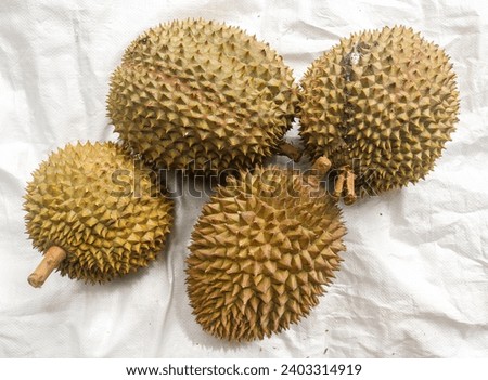 Collection of green durians at the durian market isolated on white background, local Indonesian durians for sale at the market during durian season. Harvest durian Royalty-Free Stock Photo #2403314919