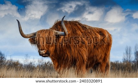 beautiful brown color big bull cow images