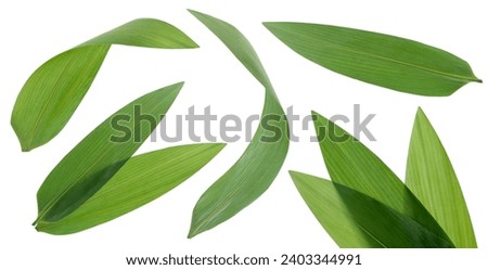 green bamboo leaves for sticky rice dumplings or sushi dish setting. Royalty-Free Stock Photo #2403344991