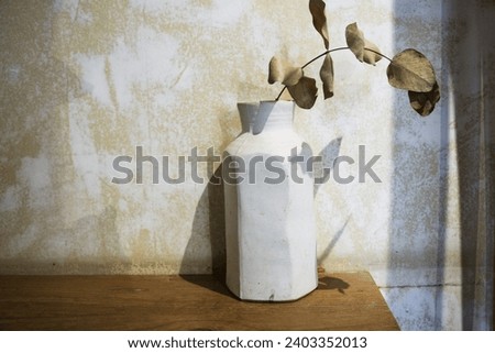 Vintage Background with Dried Flowers in a White Vase. Royalty-Free Stock Photo #2403352013