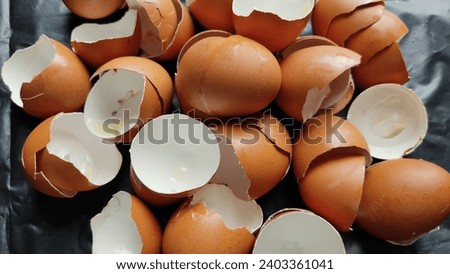 photo the broken eggshells design 