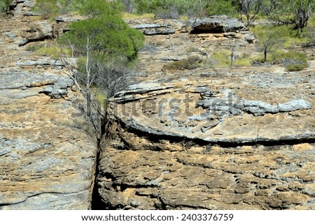 Outback scenery near Cobbold Gorge, Forsayth, Far North Queensland, Australia