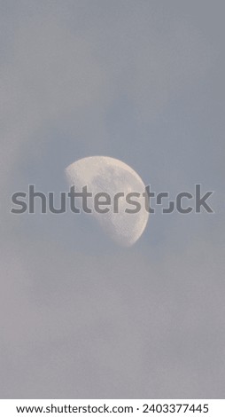 The moon that attracts attention is very attractive when it is morningc