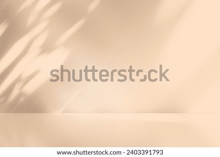 Wall interior background, studio  and backdrops show products. with leaf shadow from window color beige and white. background for text insertion and presentation of product 