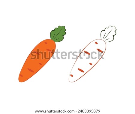 Carrot coloring book. Ripe orange carrots. A ripe vegetable garden. An image of a carrot for a children s coloring book. Vector illustration on a white background