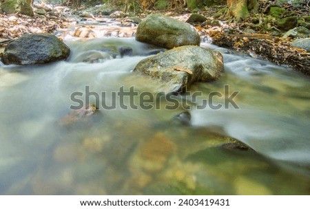 Jungle river serenity: A lush green landscape with a flowing river, captured using slow shutter speed and high dynamic range for a mesmerizing scene
