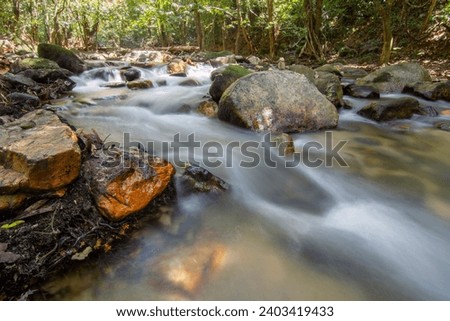 Jungle river serenity: A lush green landscape with a flowing river, captured using slow shutter speed and high dynamic range for a mesmerizing scene