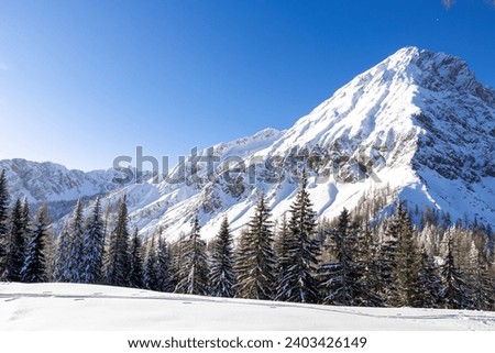 Scenic view on snow capped mountain peak of Mittagskogel (Kepa) in Karawanks, Carinthia, Austria, Europe. Winter wonderland in Austrian Alps. Snowshoe hiking through remote forest and snowy landscape Royalty-Free Stock Photo #2403426149