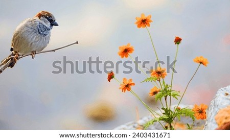 Beautiful bird and flower background nature