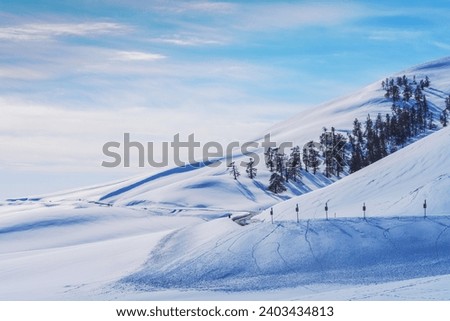 Winter Snow Scenery of Grassland Pastures, Snow Mountains, and Forests in Xinjiang Uygur Autonomous Region, China