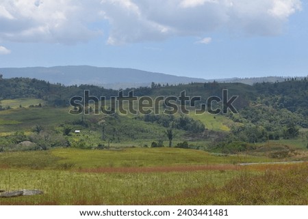 Savannah Hills in Lore Lindu National Park, Napu Valley, Central Sulawesi

