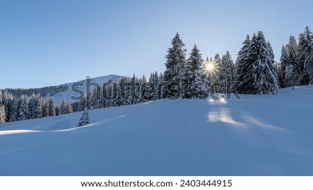 sun star over hill, through the branches of tree, snowy austria mountains in the sunshine with blue sky, forest, snow on the meadow, glittering snow, light illuminate winter wonderland, holiday area 