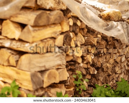 Well organized pile of firewood. Selective focus. Warm sunny color grade. Preparation for cold season. Classic house fuel for all seasons.