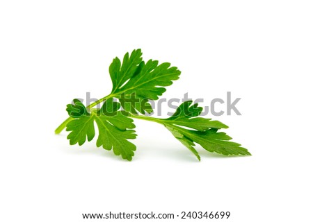 parsley isolated on white Royalty-Free Stock Photo #240346699