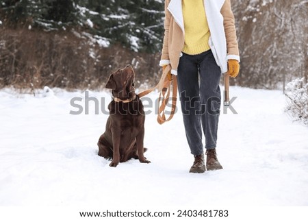 Woman with adorable Labrador Retriever dog in snowy park, closeup