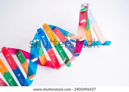DNA or Deoxyribonucleic acid is a double helix chains structure formed by base pairs attached to a sugar phosphate backbone. Royalty-Free Stock Photo #2403496437