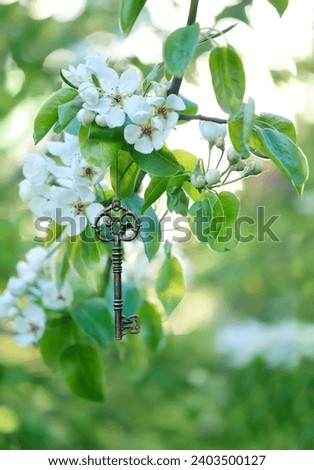 spring nature background. Vintage key hanging on blossom apple branch, abstract green backdrop. Key, symbol of secret garden. Beautiful spring season. gentle floral image. template for design.