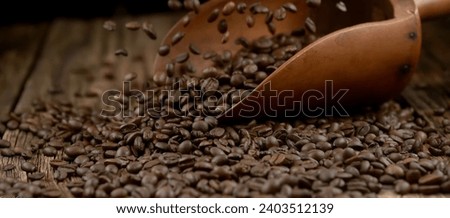 Coffee beans, background, texture, close-up. Fresh beans and roasted coffee beans