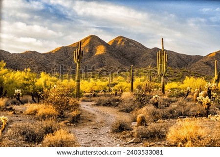 Sunrise over the Sonoran Desert near Scottsdale, Arizona Royalty-Free Stock Photo #2403533081