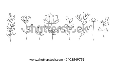 Collection of wild flowers and leaves. Linear vector illustration isolate don white background