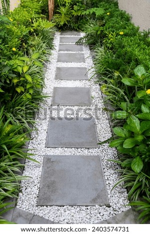 Brick path in the garden