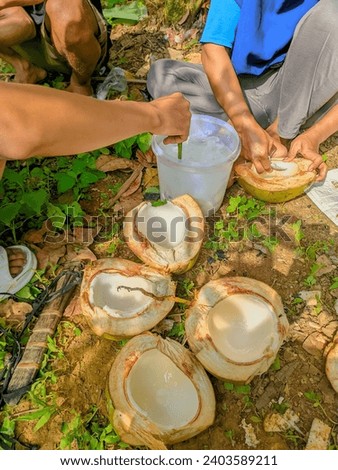 Relaxing while enjoying, splitting your head and drinking coconut water with your village friends