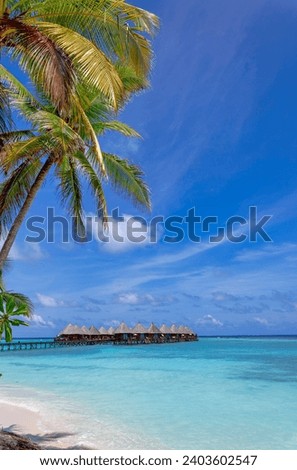 Over water villas on stilts in open blue ocean framed by green leaves of palm tree, tropical island Maldives, Indian ocean Royalty-Free Stock Photo #2403602547