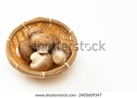 Mushrooms on a white background.