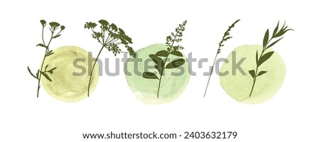 set silhouettes botanic blossom floral elements. Branches, leaves, herbs, flowers, wild plants. Garden, meadow, field collection leaf, foliage. Vector illustration, modern background