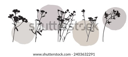 set silhouettes botanic blossom floral elements. Branches, leaves, herbs, flowers, wild plants. Garden, meadow, field collection leaf, foliage. Vector illustration, modern background