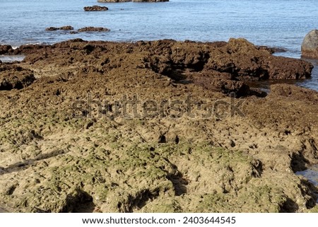 Las Canteras beach, low tide. Gran Canaria, Spain Royalty-Free Stock Photo #2403644545