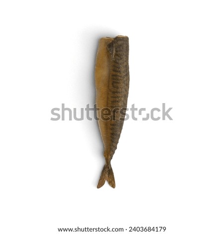 Fish Vertically placed on white background photo