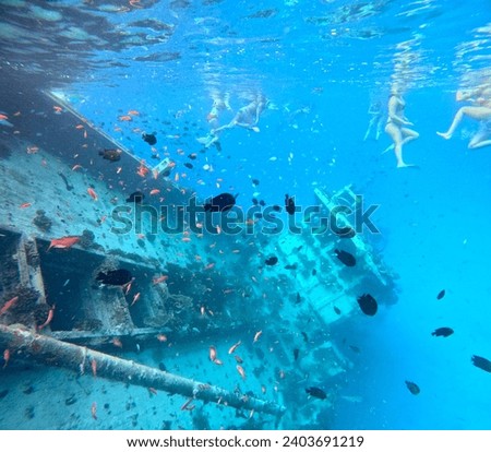 Snorkeling in a boat wreck in the Maldives : beautiful landscape with lot of fish colorful Royalty-Free Stock Photo #2403691219