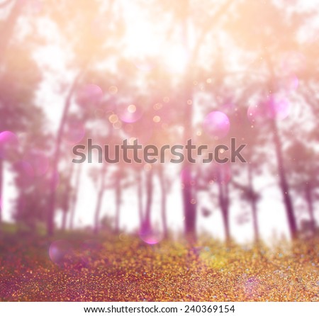 abstract photo of light burst among trees and glitter bokeh. image is blurred and filtered .