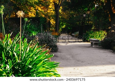 A pathway, walkway go far away in a city park, botanical garden. Tranquillity of nature. Green fresh plants, flowers growing on a street in sunny day 